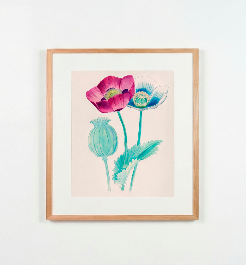 LW003 Poppy