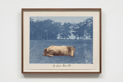 Is this Death — archival pigment print with screen-printed horse over a blue cyanotype field and handwritten caption, walnut frame, Life Without